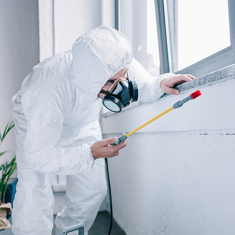 pest control sydney