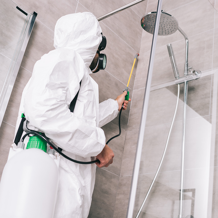 pest control sydney