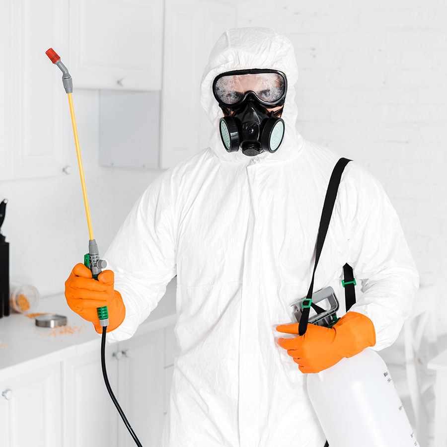 pest control sydney